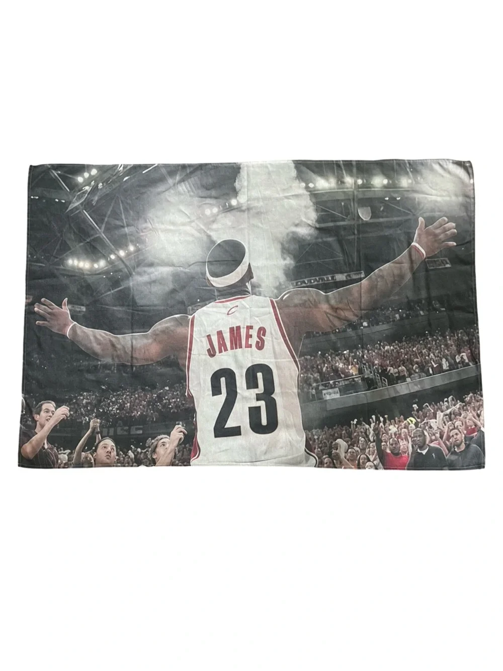 Huge LeBron James Canvas Wall Hanging 40” x 59”